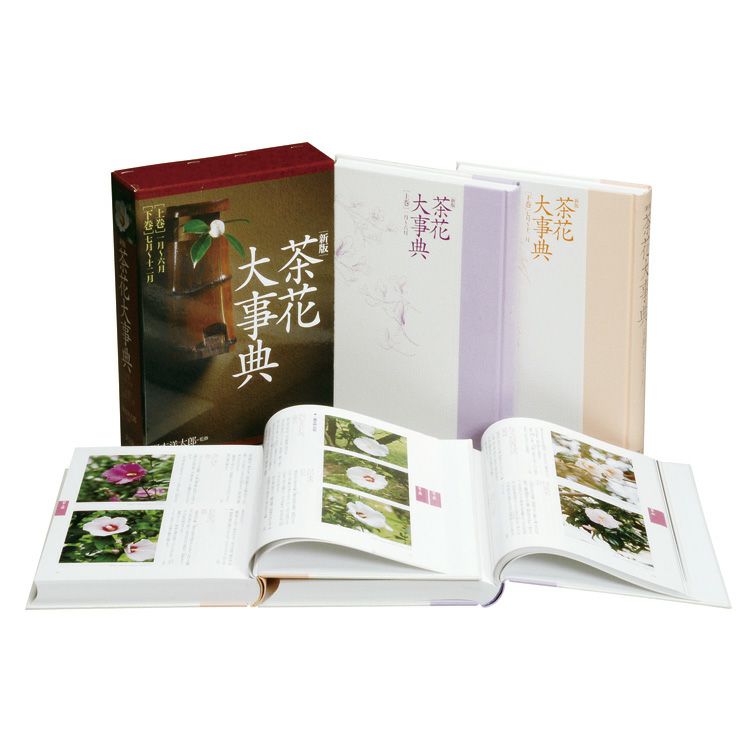 角川茶道具大事典 Amazon.co.jp: 角川茶道大事典 普及版 : 林屋 辰三郎: 本