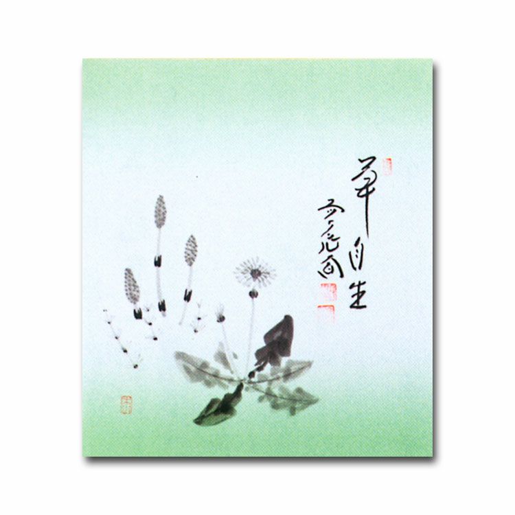 全信頼を寄せる 茶道具 色紙 画賛色紙禅語 4月 卯月 「草自生」 大徳寺派極楽寺 絵画