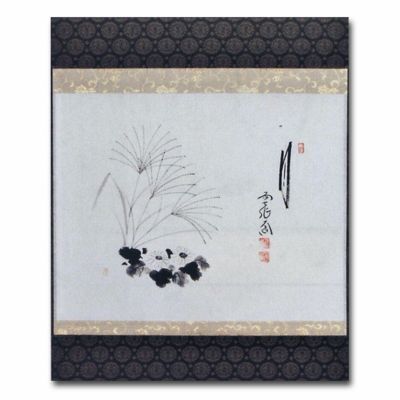 大徳寺 西垣大道 月 秋草の画 画賛 掛け軸 共箱 茶道具 茶掛け