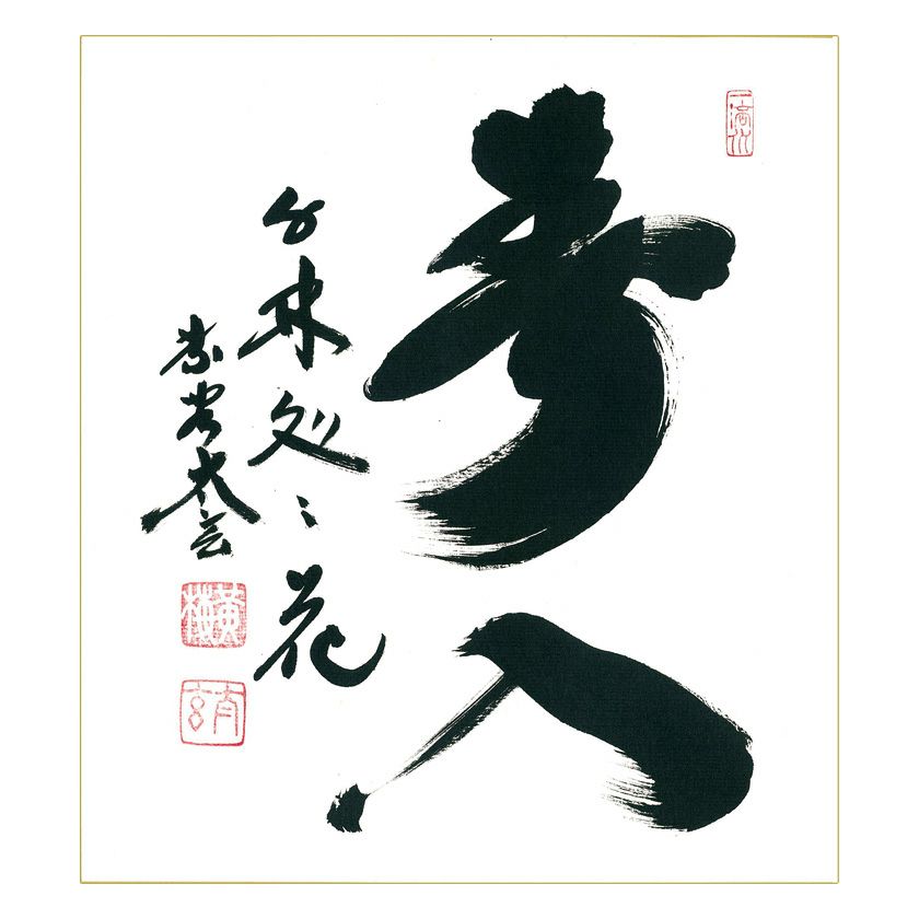 C227 掛軸 大徳寺 小林太玄 『春入千林処々花』 共箱 『真作