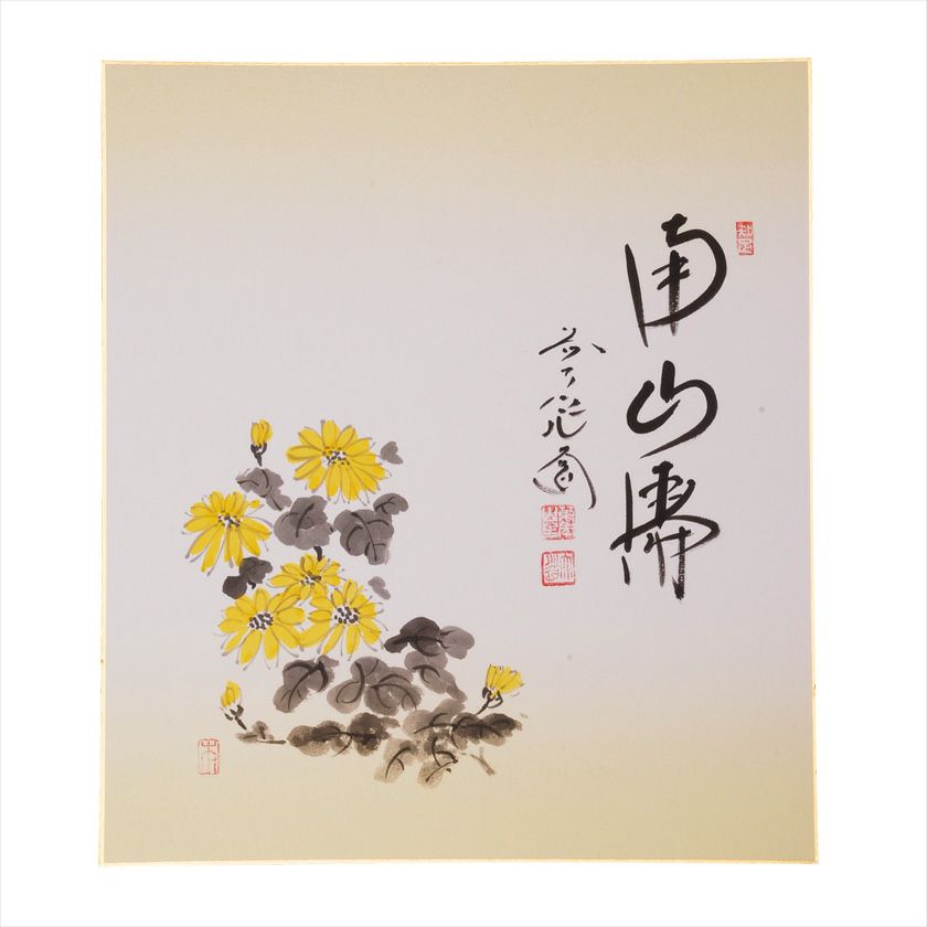 茶道具 色紙（しきし）・色紙掛（しきしかけ） 画賛色紙 菊絵「南山寿