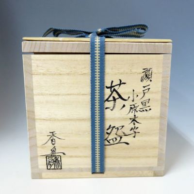 小西平内焼 太閤窯 原田聖龍 朱彩 黒茶碗 共箱 茶碗 茶道具 抹茶碗 新品 2025年最新】太閤窯の人気アイテム - メルカリ