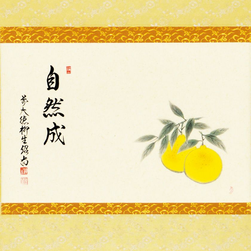 掛軸 木村樟庵 朝顔 涼風颯々声 紙箱 茶掛 茶道具 茶の湯 画賛 3-51 掛軸 木村樟庵 朝顔 涼風颯々声 紙箱 茶掛 茶道具 茶の湯 画賛 3