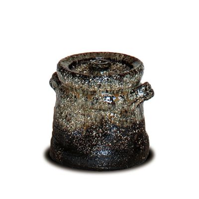 海外並行輸入正規品 茶道具 隆司 味舌 萩耳付 窯変 水指 水指（水差・みずさし） 工芸品