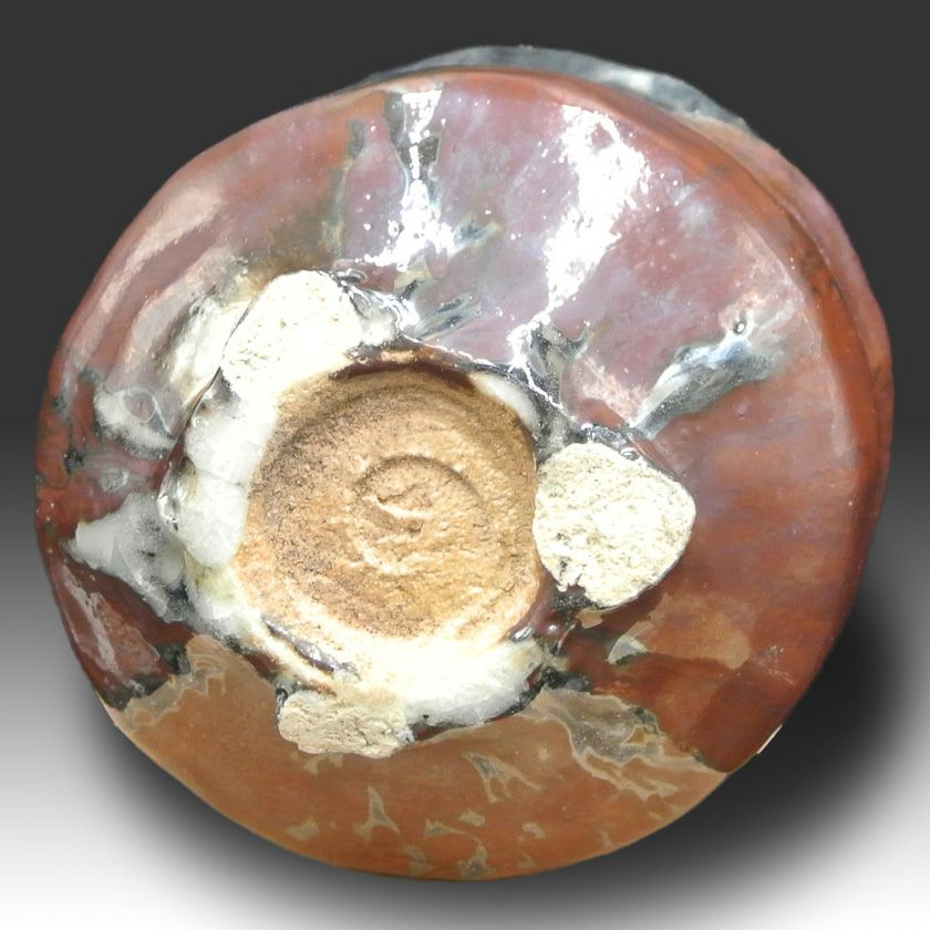 茶道具 天目茶碗（てんもくちゃわん） 茶碗 窯変天目 大山 秀男 抹茶茶碗は茶の湯文化である表千家・裏千家の茶道具や抹茶を専門に扱う千紀園（せんきえん）が通販で販売しています。茶会また初心者向けのお稽古用にご利用いただける抹茶碗です。贈り物・ギフトにも人気です。