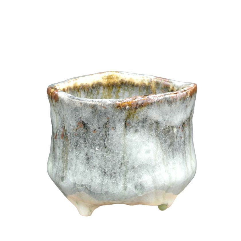 茶道具 抹茶茶碗（まっちゃちゃわん） 茶碗 窯変志野 大山 秀男 抹茶茶碗は茶の湯文化である表千家・裏千家の茶道具や抹茶を専門に扱う千紀園（せんきえん）が通販で販売しています。茶会また初心者向けのお稽古用にご利用いただける抹茶碗です。贈り物・ギフトにも人気です。