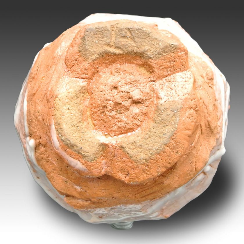 茶道具 抹茶茶碗（まっちゃちゃわん） 茶碗 紅志野 大山 秀男 抹茶茶碗は茶の湯文化である表千家・裏千家の茶道具や抹茶を専門に扱う千紀園（せんきえん）が通販で販売しています。茶会また初心者向けのお稽古用にご利用いただける抹茶碗です。贈り物・ギフトにも人気です。