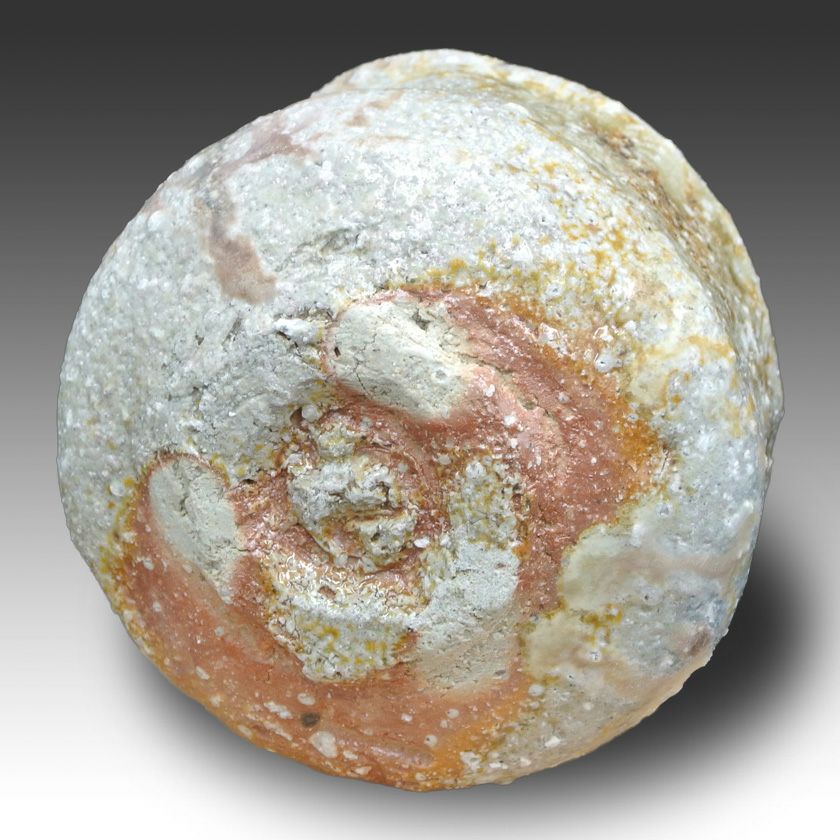 茶道具 抹茶茶碗（まっちゃちゃわん） 茶碗 信楽焼 大山 秀男 抹茶茶碗は茶の湯文化である表千家・裏千家の茶道具や抹茶を専門に扱う千紀園（せんきえん）が通販で販売しています。茶会また初心者向けのお稽古用にご利用いただける抹茶碗です。贈り物・ギフトにも人気です。