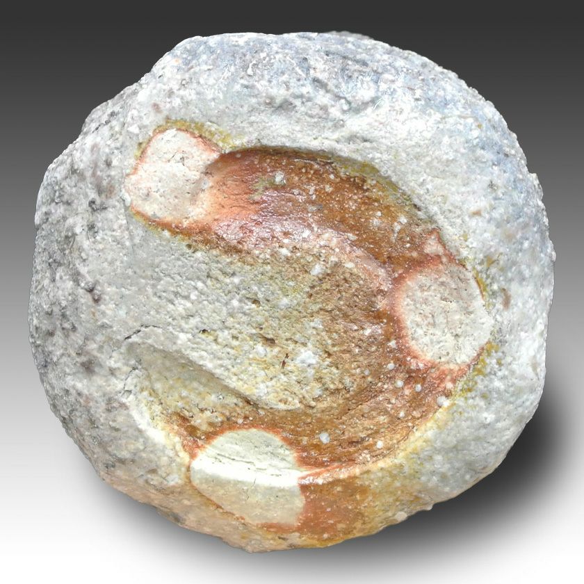 茶道具 抹茶茶碗（まっちゃちゃわん） 茶碗 信楽焼 大山 秀男 抹茶茶碗は茶の湯文化である表千家・裏千家の茶道具や抹茶を専門に扱う千紀園（せんきえん）が通販で販売しています。茶会また初心者向けのお稽古用にご利用いただける抹茶碗です。贈り物・ギフトにも人気です。