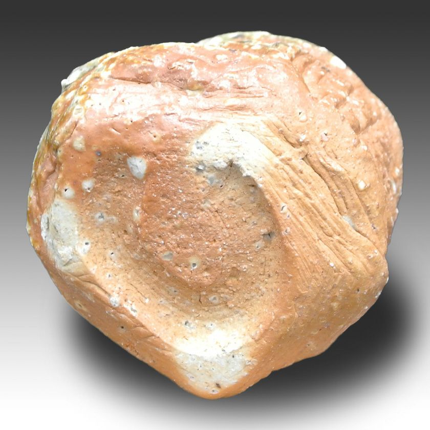 茶道具 抹茶茶碗（まっちゃちゃわん） 茶碗 信楽焼 大山 秀男 抹茶茶碗は茶の湯文化である表千家・裏千家の茶道具や抹茶を専門に扱う千紀園（せんきえん）が通販で販売しています。茶会また初心者向けのお稽古用にご利用いただける抹茶碗です。贈り物・ギフトにも人気です。