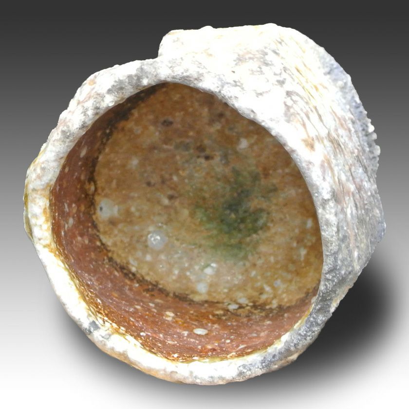 茶道具 抹茶茶碗（まっちゃちゃわん） 茶碗 信楽焼 灰被り 大山 秀男 抹茶茶碗は茶の湯文化である表千家・裏千家の茶道具や抹茶を専門に扱う千紀園（せんきえん）が通販で販売しています。茶会また初心者向けのお稽古用にご利用いただける抹茶碗です。贈り物・ギフトにも人気です。