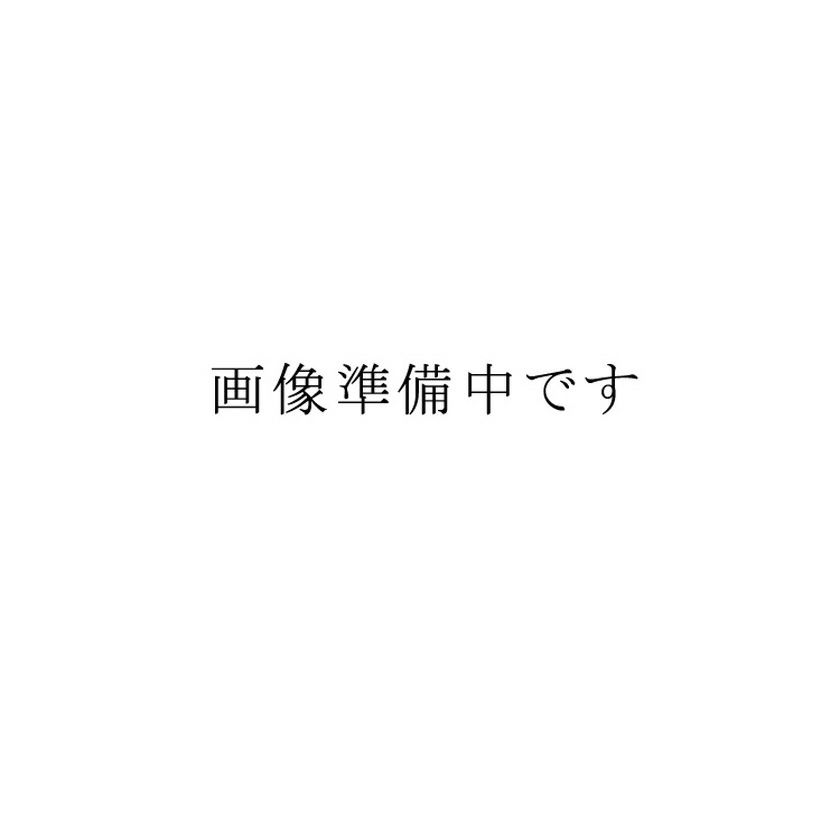 茶道具 立礼棚（りゅうれいだな） 裏千家好写 点茶盤セット （裏用点茶盤・喫架・円椅 2客） 坪井 巧斎 | 千年の香り 千紀園