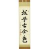 掛軸 西垣宗興 松無古今色 共箱 茶掛 茶道具 禅語 5-4 掛軸 西垣宗興 松無古今色 共箱 茶掛 茶道具 禅語 5-4